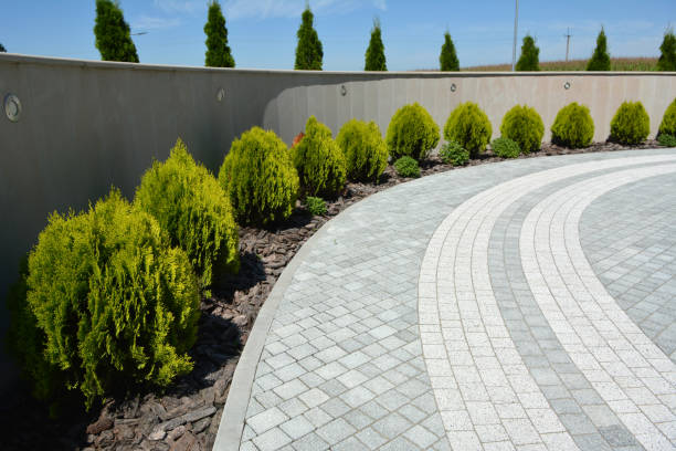 Best Driveway Resurfacing Pavers  in Horizon City, TX