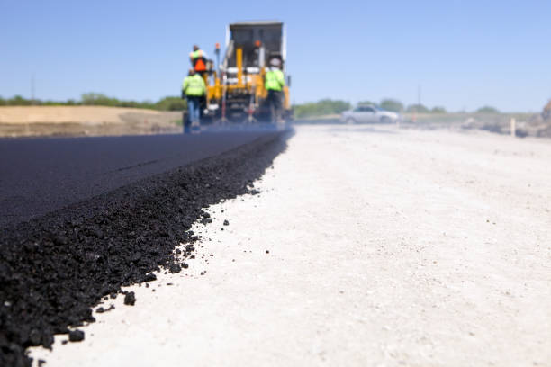 Best Local Driveway Pavers  in Horizon City, TX