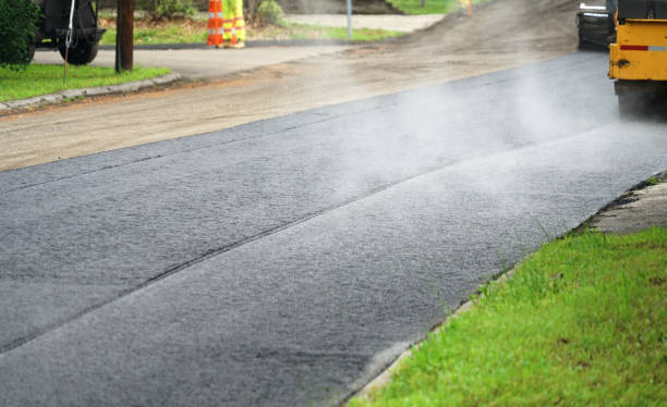 Best Professional Driveway Pavers  in Horizon City, TX